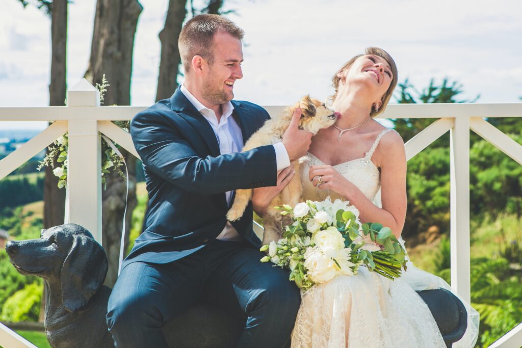 10 Cute Ways to Incorporate Dogs in Your Wedding Photos