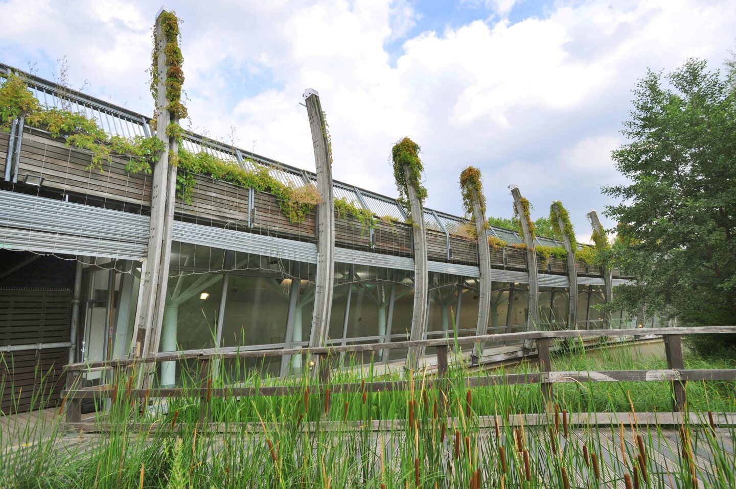 The Ecology Pavilion