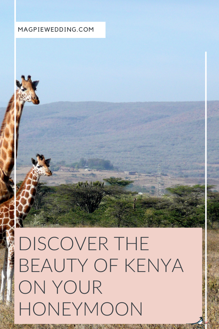 Discover The Beauty Of Kenya On Your Honeymoon