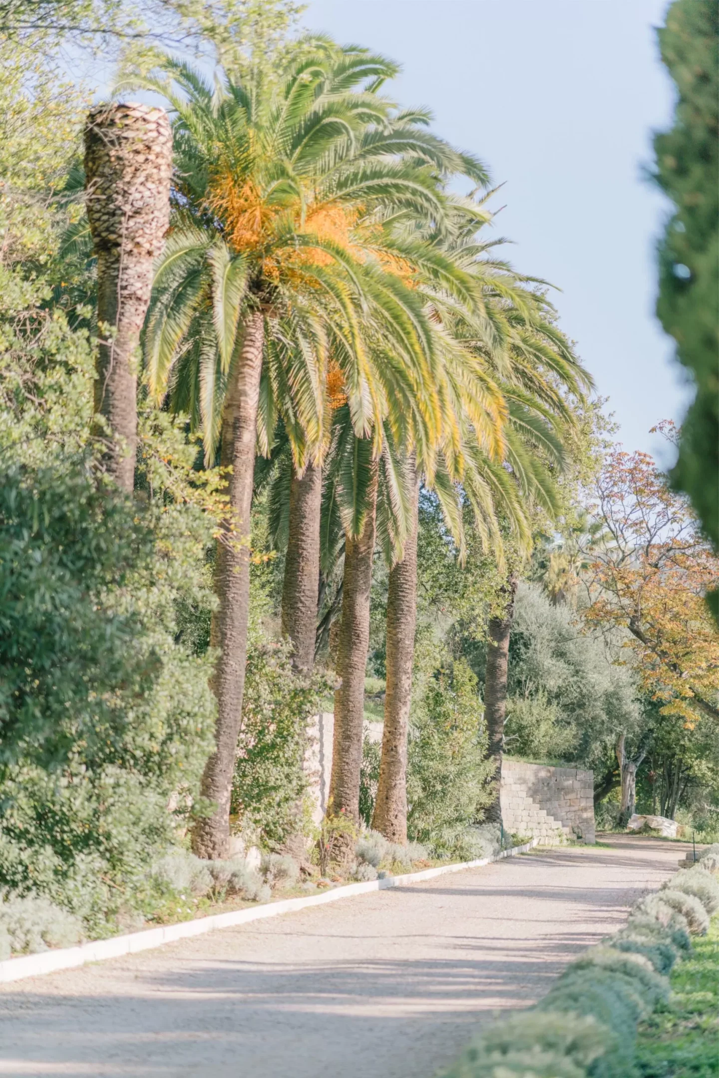 Chateau Saint Georges In Grasse, South or France