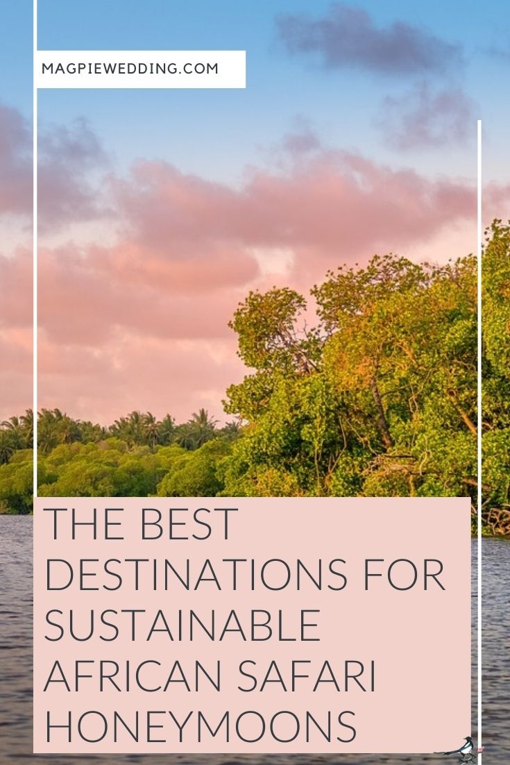 The Best Destinations for Sustainable African Safari Honeymoons 
