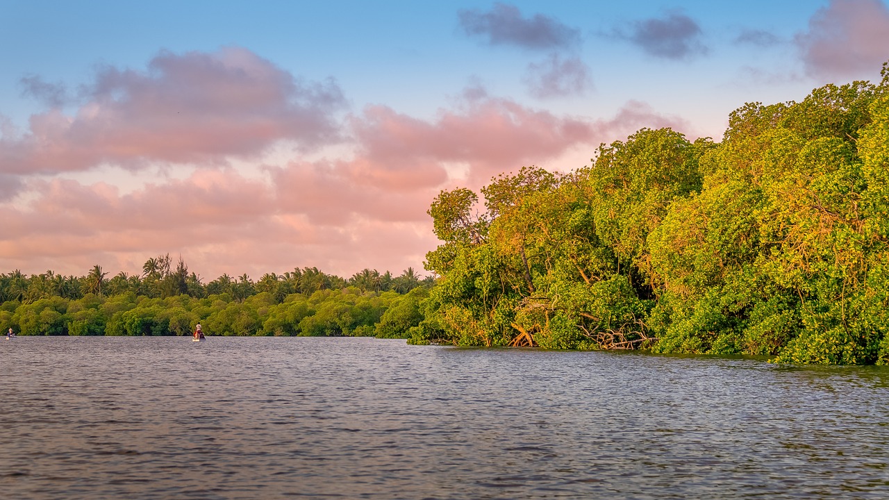 The Best Destinations for Sustainable African Safari Honeymoons 