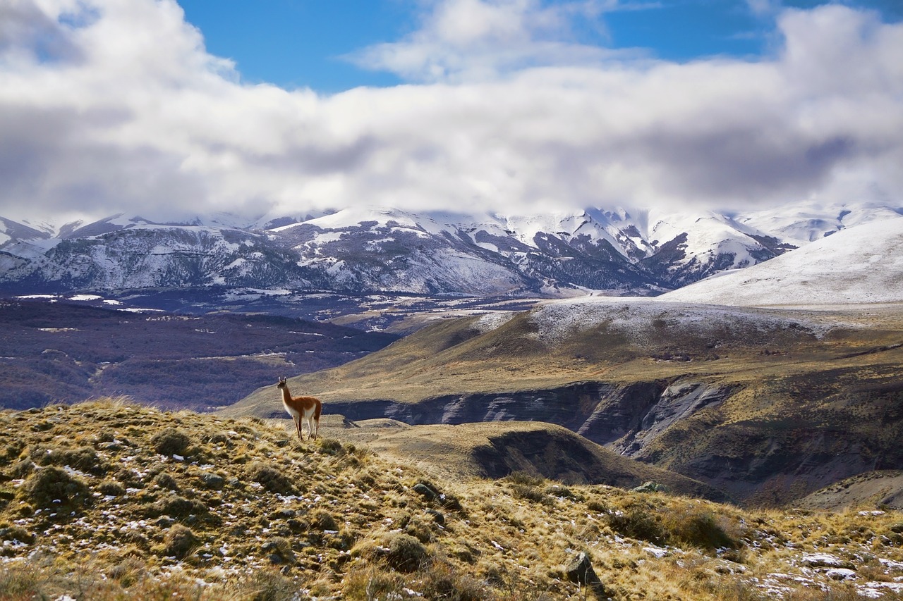 The Best Destinations for Sustainable Honeymoons in Patagonia 