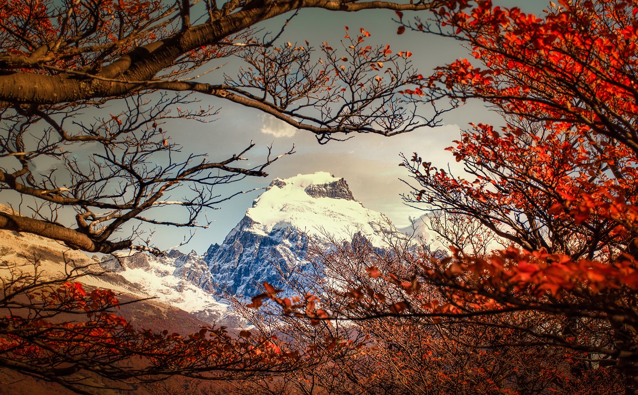 The Best Destinations for Sustainable Honeymoons in Patagonia 