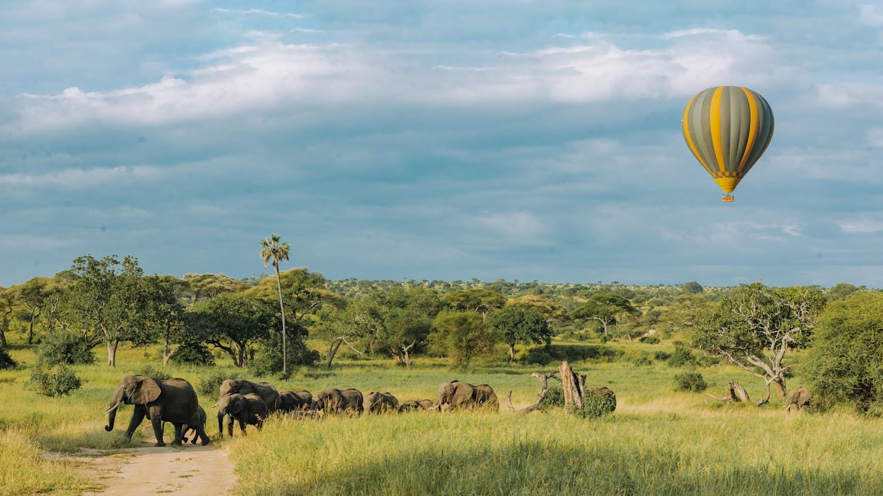 The Best Destinations for Sustainable Honeymoons in Tanzania