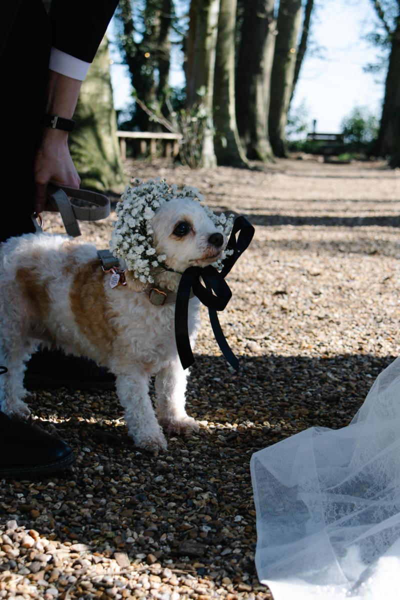 Monochrome Wedding At Crown Lodge