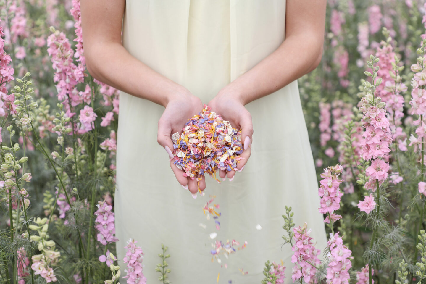 Award Winners Expert Advice When Planning A Sustainable Wedding