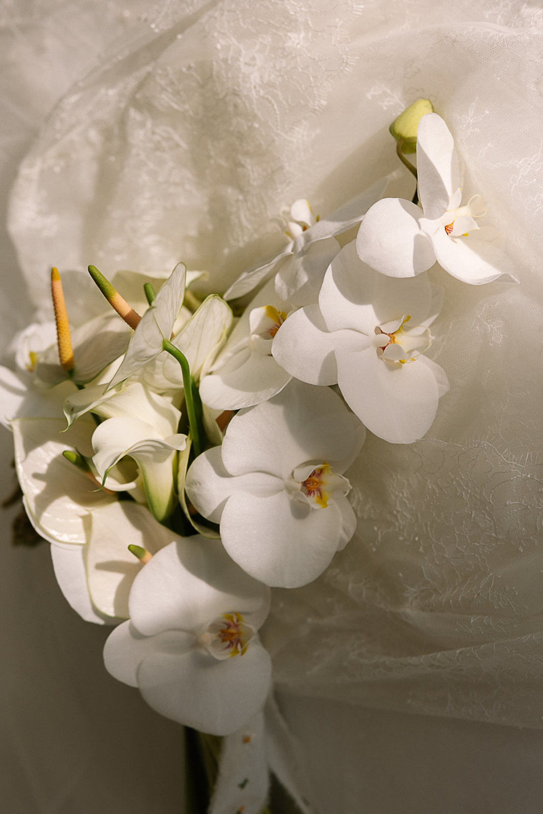Marine & Borja's Intimate Destination Wedding in Spain